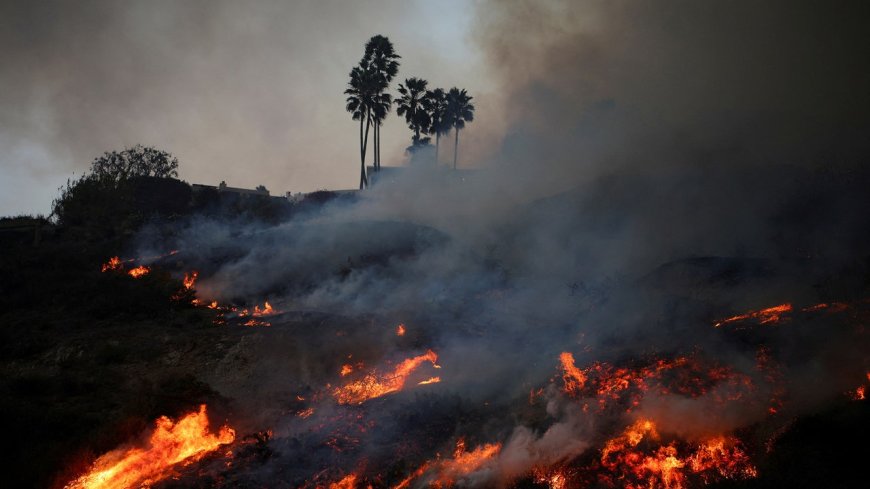 How Did the Los Angeles Fires Get So Out of Control?