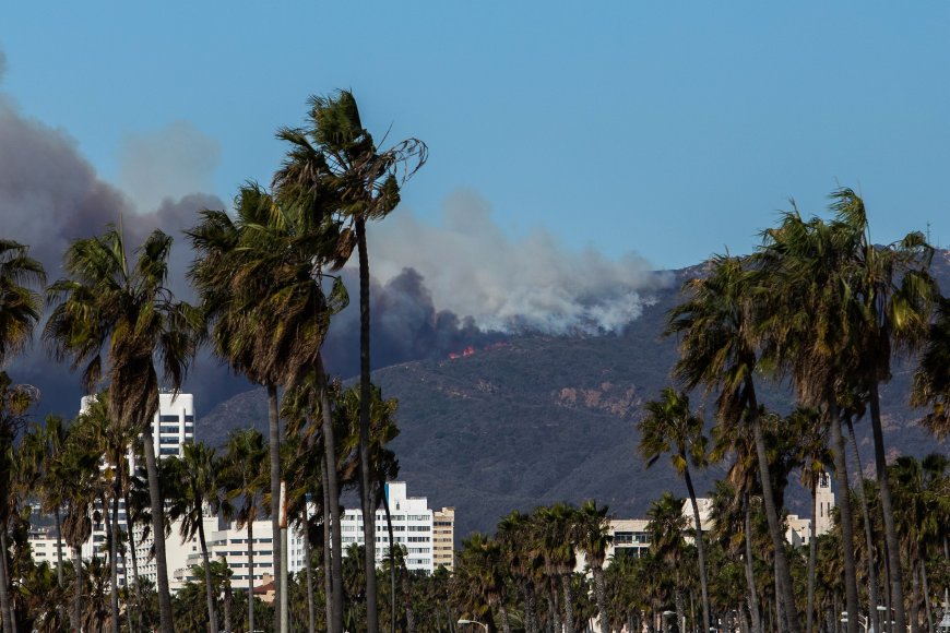 Sandra Lee Says Her House ‘Still Stands’ Amid L.A. Wildfires