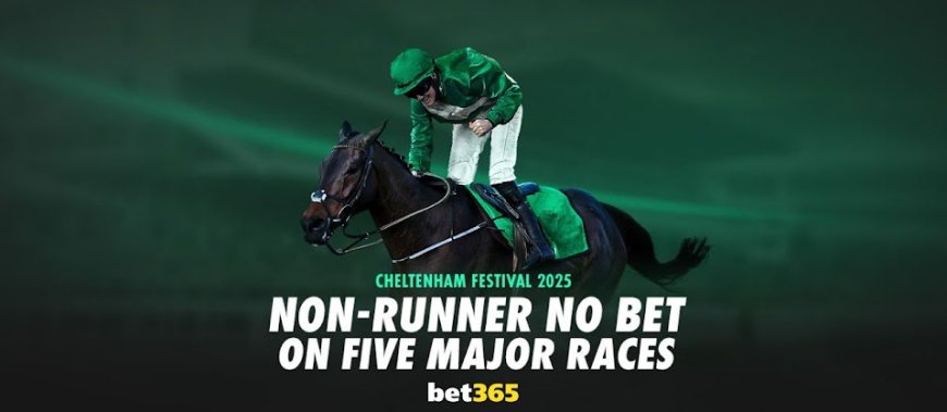 bet365 go NRNB on Cheltenham Festival 2025’s five major races