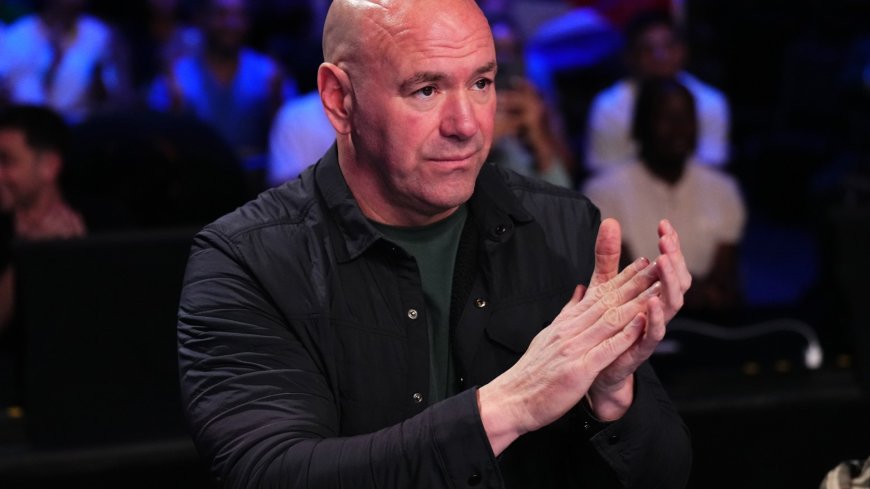 Is UFC 311 still taking place in Los Angeles this weekend? Dana White gives update amid ongoing wildfire emergency