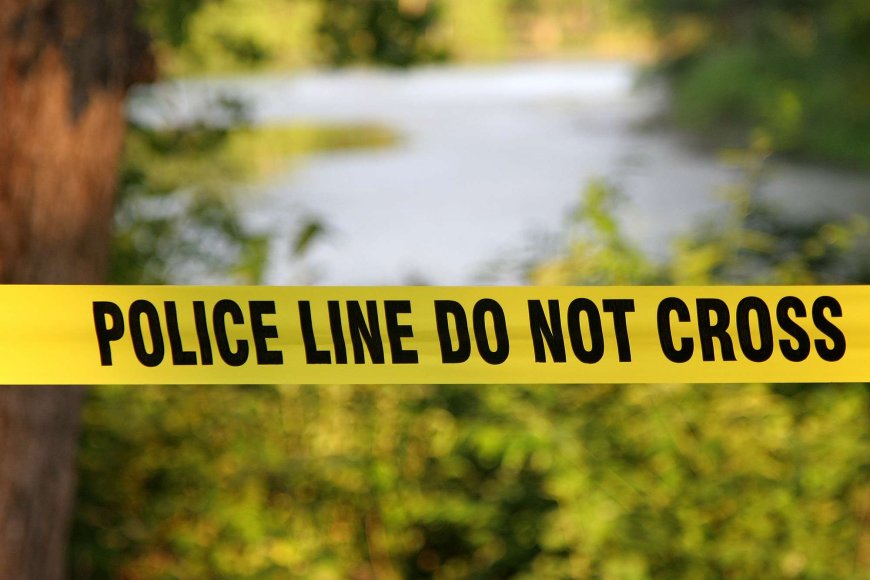 2 North Carolina Men Discover Human Remains While Duck Hunting in a Wooded Area: Police