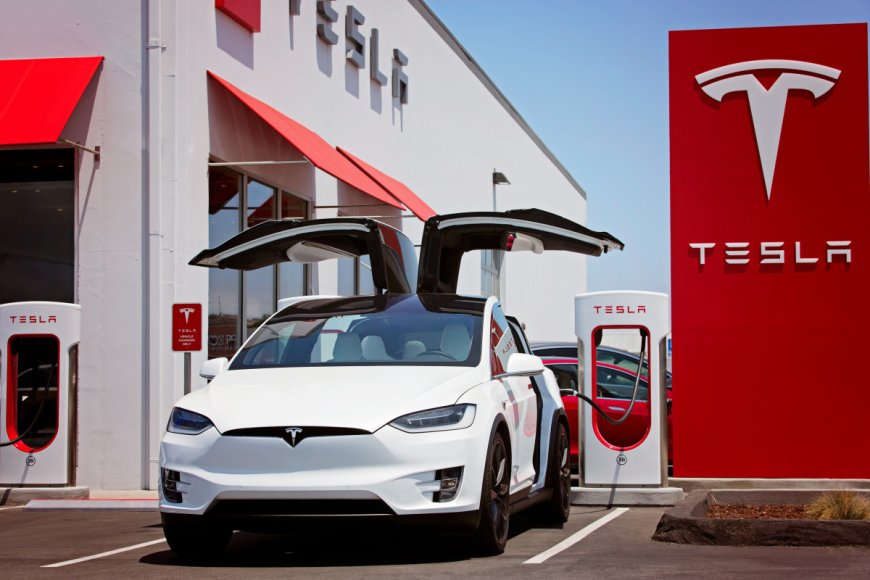 The world has mixed views on Tesla