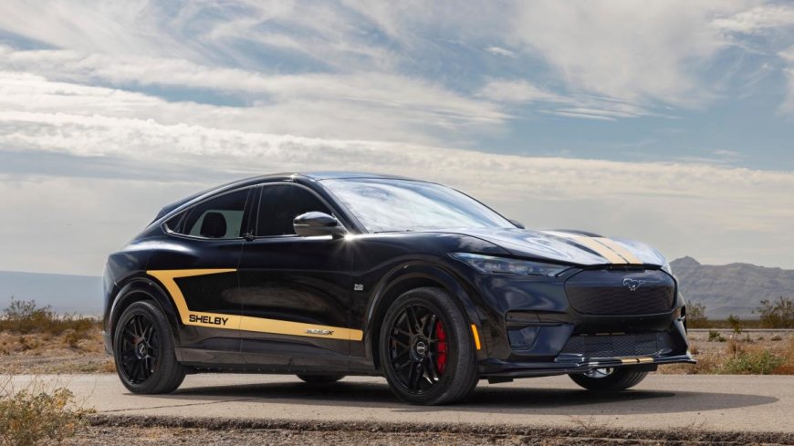 Hertz hosting a sale on special Shelby Mustang Mach-Es