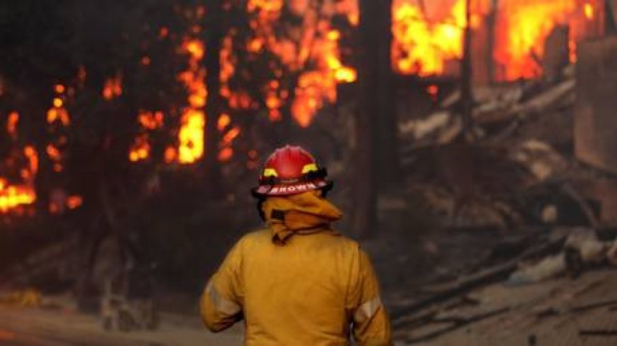 LA wildfire costs ‘staggering’ – analysts