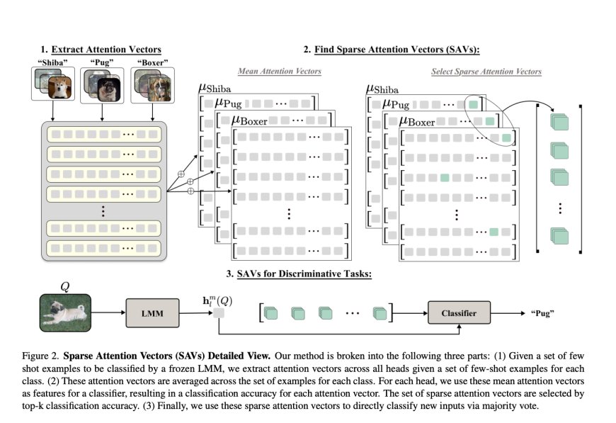 Revolutionizing Vision-Language Tasks with Sparse Attention Vectors: A Lightweight Approach to Discriminative Classification