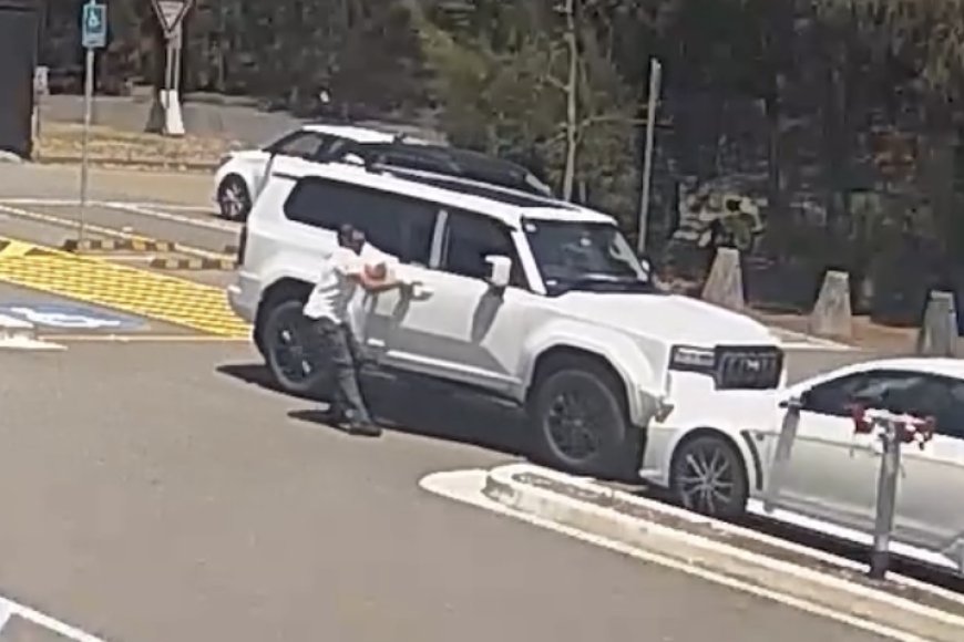 Watch: Toyota Prado owner’s embarrassing crash chasing cricketer for an autograph