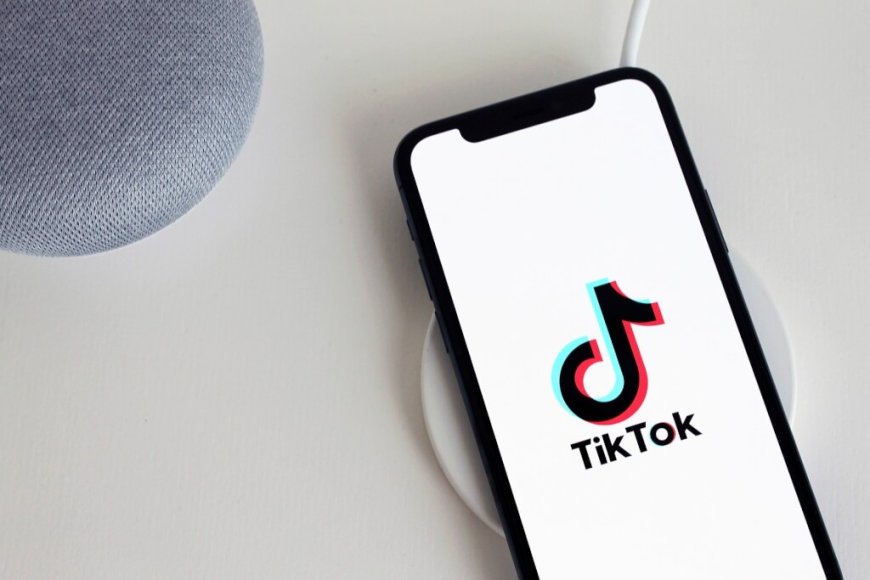 TikTok等6中企遭控非法將個資傳中國 在5歐國被告