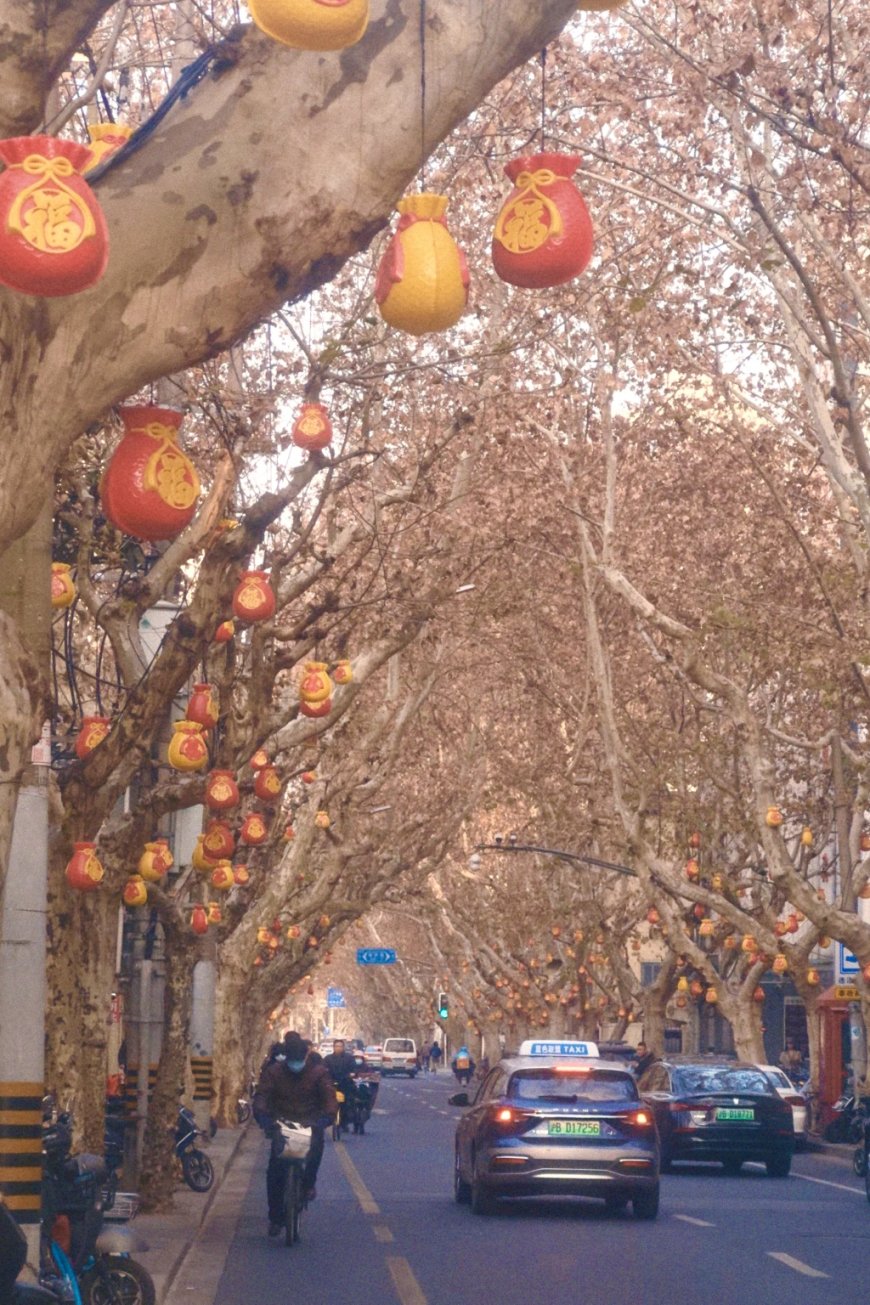 上海小马路年味浓：行道树上挂“福袋”，头上有“福”，踮脚沾“福”