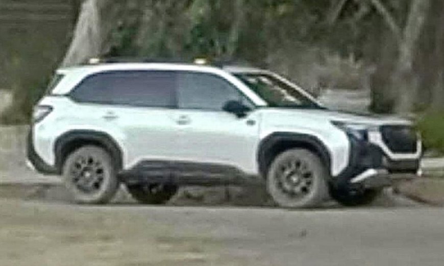 2026 Subaru Forester Wilderness: More rugged SUV leaked