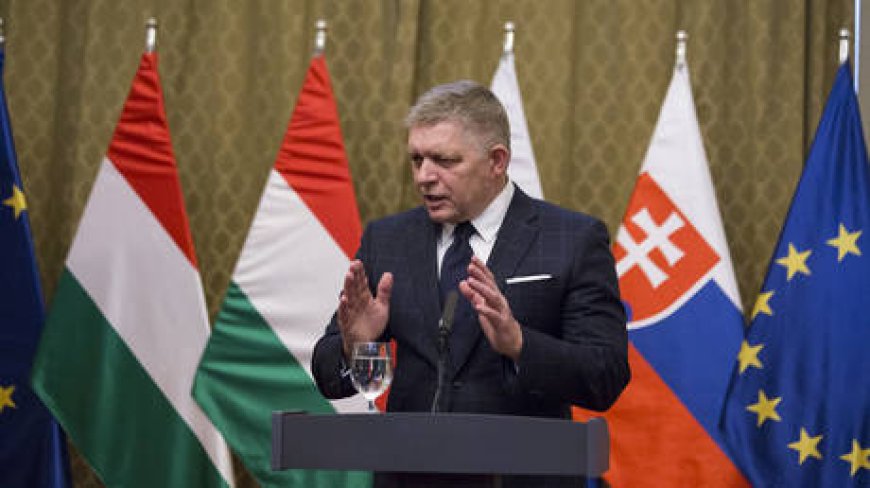 Foreign ‘experts’ plotting coup – Slovakia’s Fico