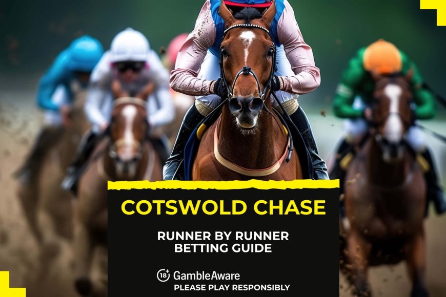 Cotswold Chase: Runner by runner betting guide