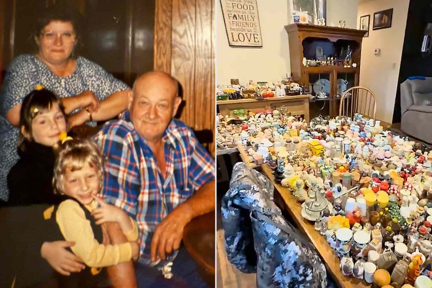 Family Discovers More Than 2,000 Salt and Pepper Shakers While Going Through Late Grandmother's Belongings (Exclusive)