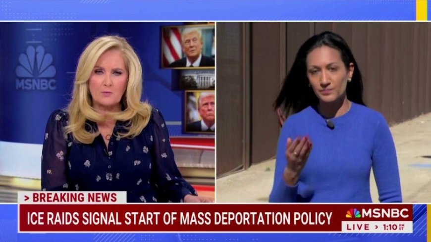 MSNBC anchor corrects her correspondent on-air: They're 'undocumented immigrants'