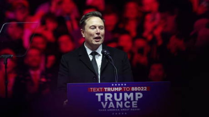 Musk sank $288 million into Trump campaign – WaPo