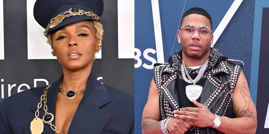 Fans Divided After Janelle Monae Calls Nelly  A 'Fool' In Grammy After-Party Freestyle