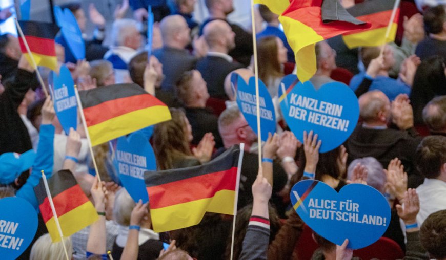 What to Know About German Far-Right Party AfD