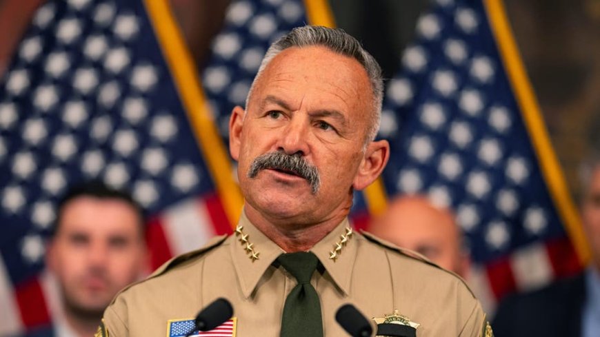 California sheriff uses 'To Catch A Predator' playbook to squash blue state crime