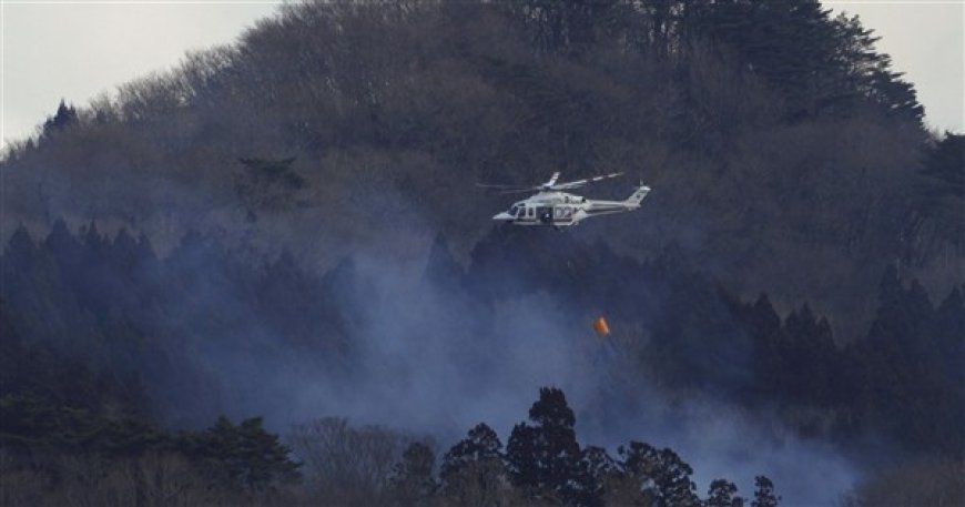 日本山林火災延燒5天 燒毀面積約63座東京巨蛋