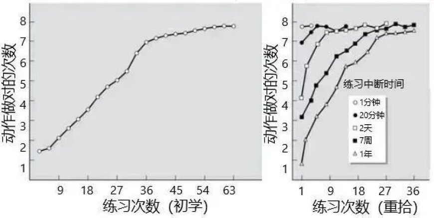 为什么骑自行车学会就忘不掉，可弹琴需要天天练？