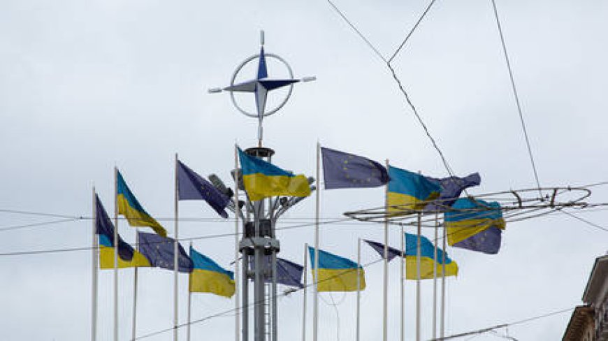 West knew NATO push for Ukraine was risky – WikiLeaks