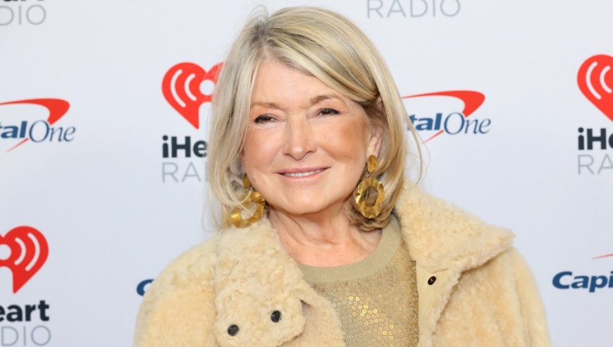 Get Martha Stewart's Luxe Carry-on Luggage Look for Under $200