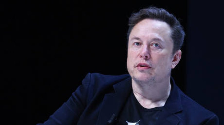 Zelensky should allow ‘democratic transition’ in Ukraine – Musk