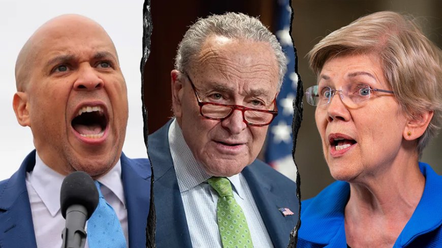 Conservatives flip script on Senate Dems pushing identical talking points against Trump: 'Like robots'