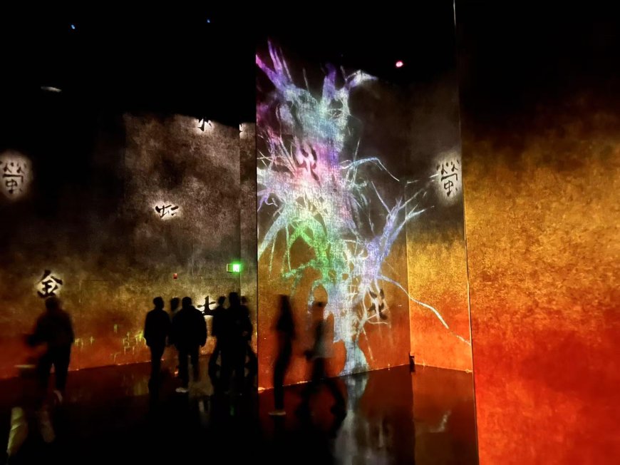 Step Into Wonder at the TeamLab "Massless" Exhibition