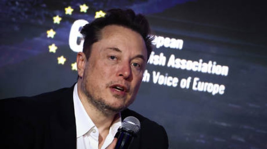 ‘Very few people’ remember US overthrew Ukrainian govt – Musk