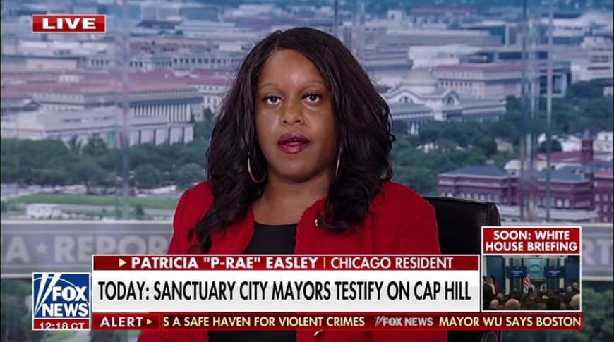 Chicago resident slams Democrats' attempts to 'racialize' immigration issues amid sanctuary city hearings