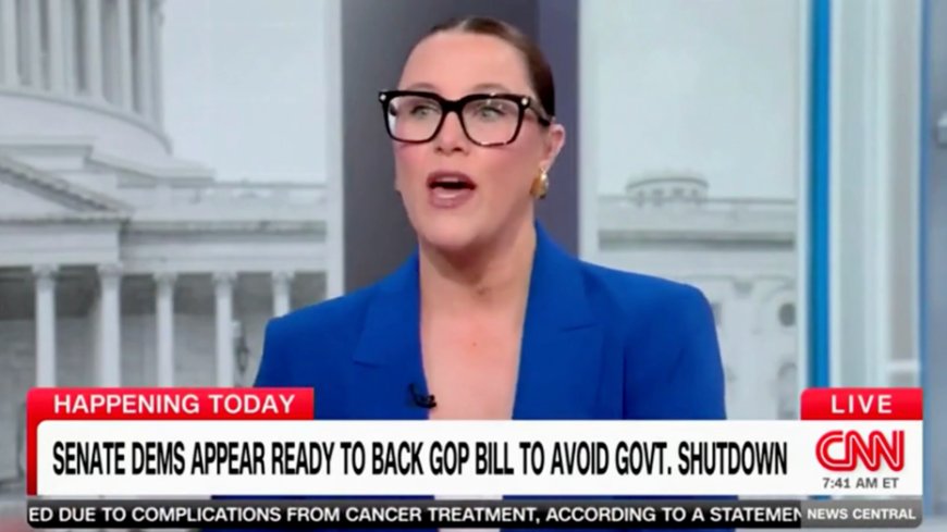 CNN commentator says 'Democrats are a mess,' need to 'get it together' to fight Trump